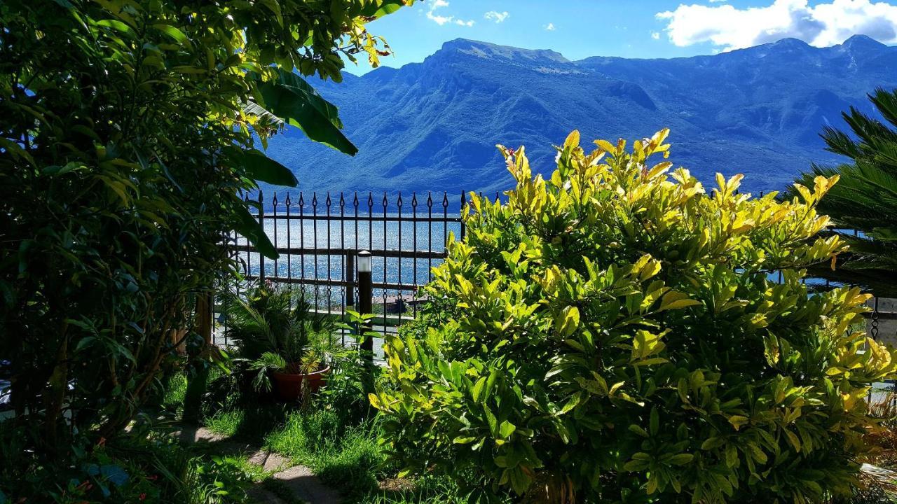 Villa Fior Di Loto 利莫内-苏尔加达 外观 照片